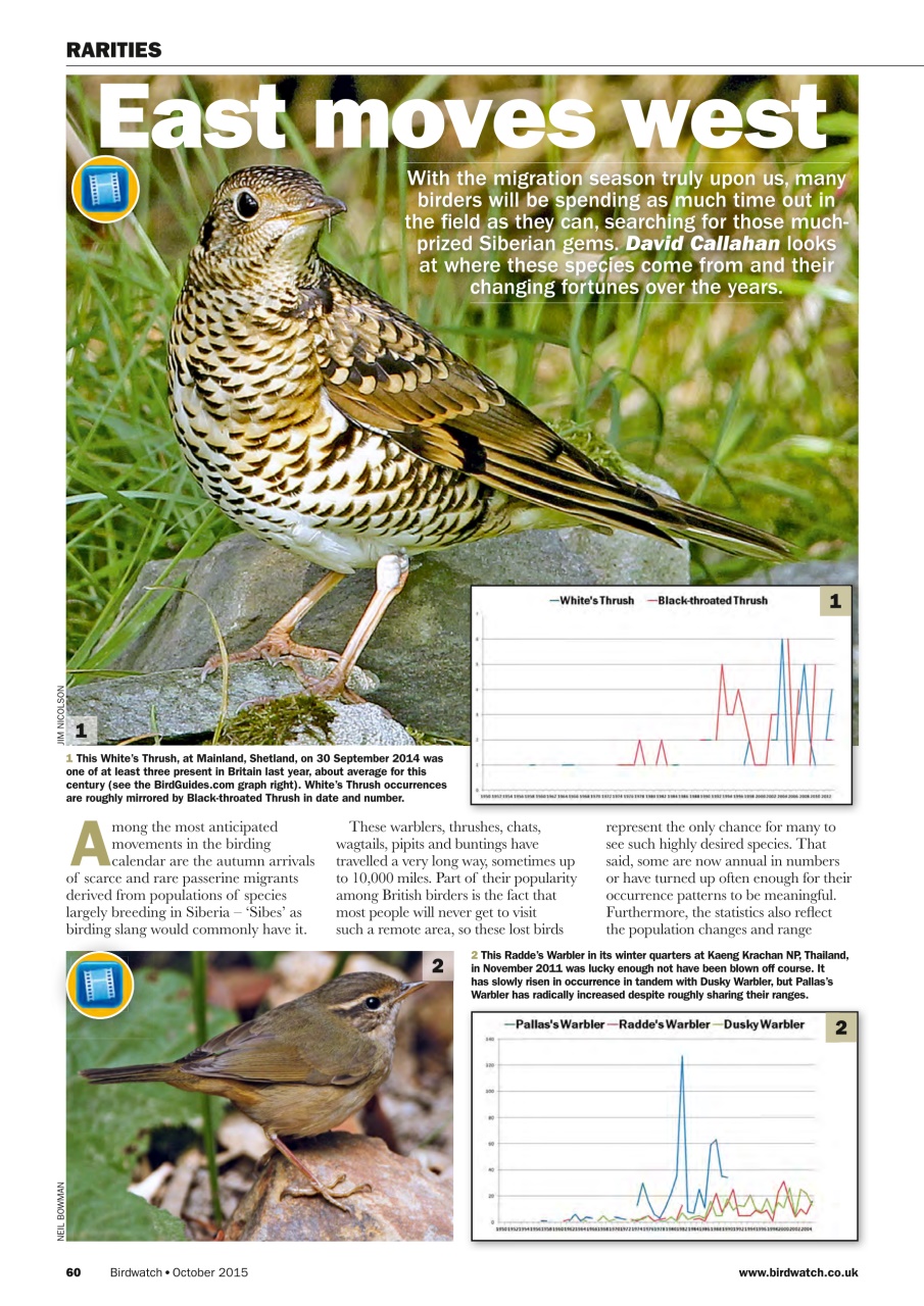 Birdwatch Magazine Preview Pages