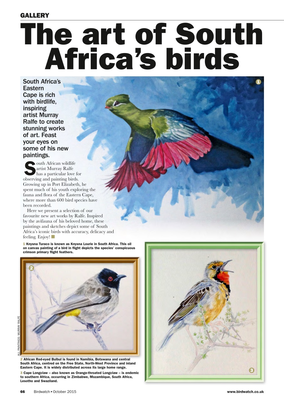Birdwatch Magazine Preview Pages