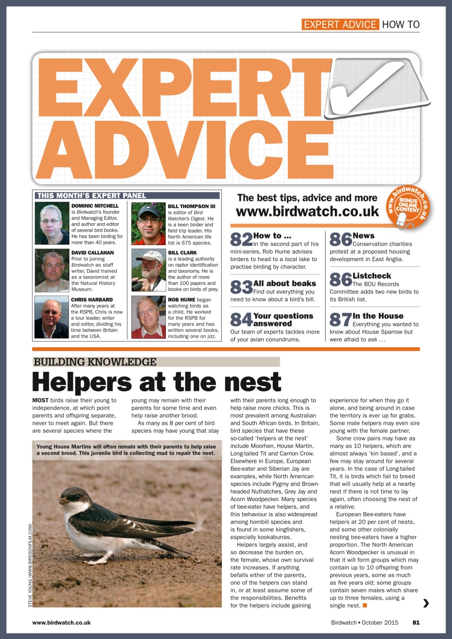 Birdwatch Magazine Preview Pages