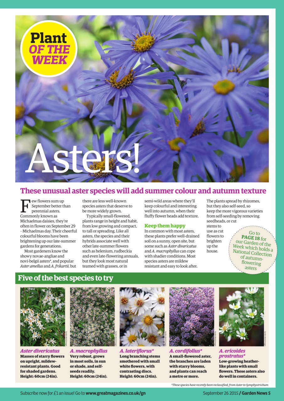 Garden News Preview Pages