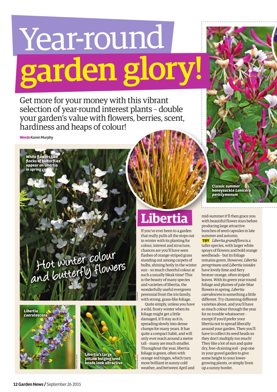 Garden News Preview Pages