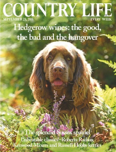 Country Life issue 