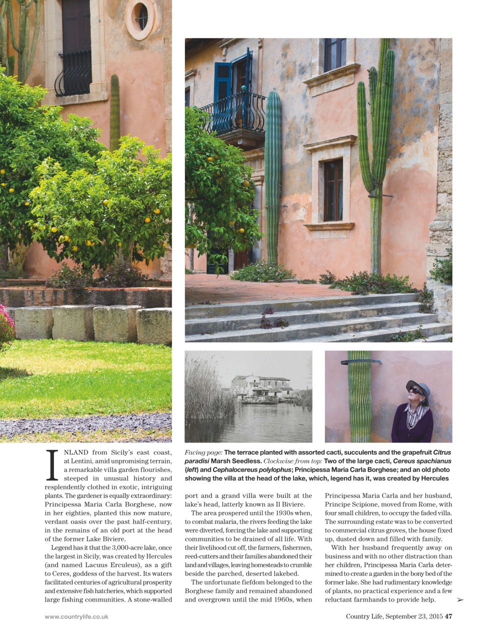 Country Life Preview Pages