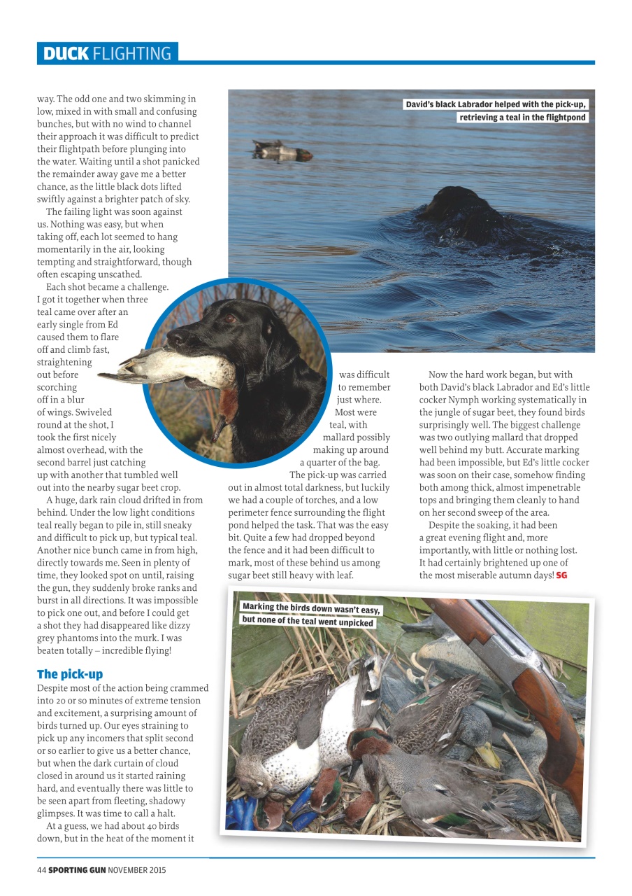 Sporting Gun Preview Pages