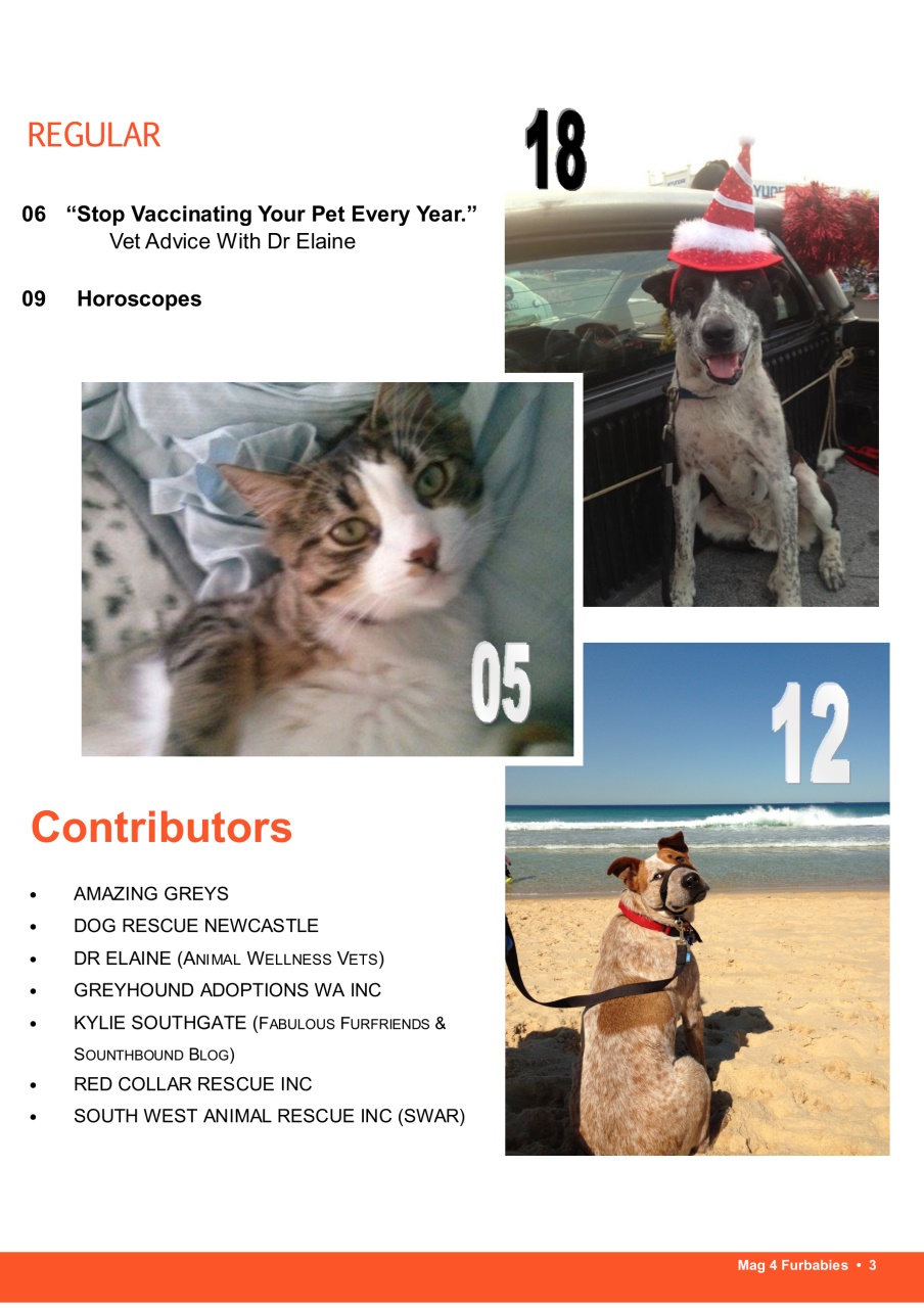 Mag 4 Furbabies Preview Pages