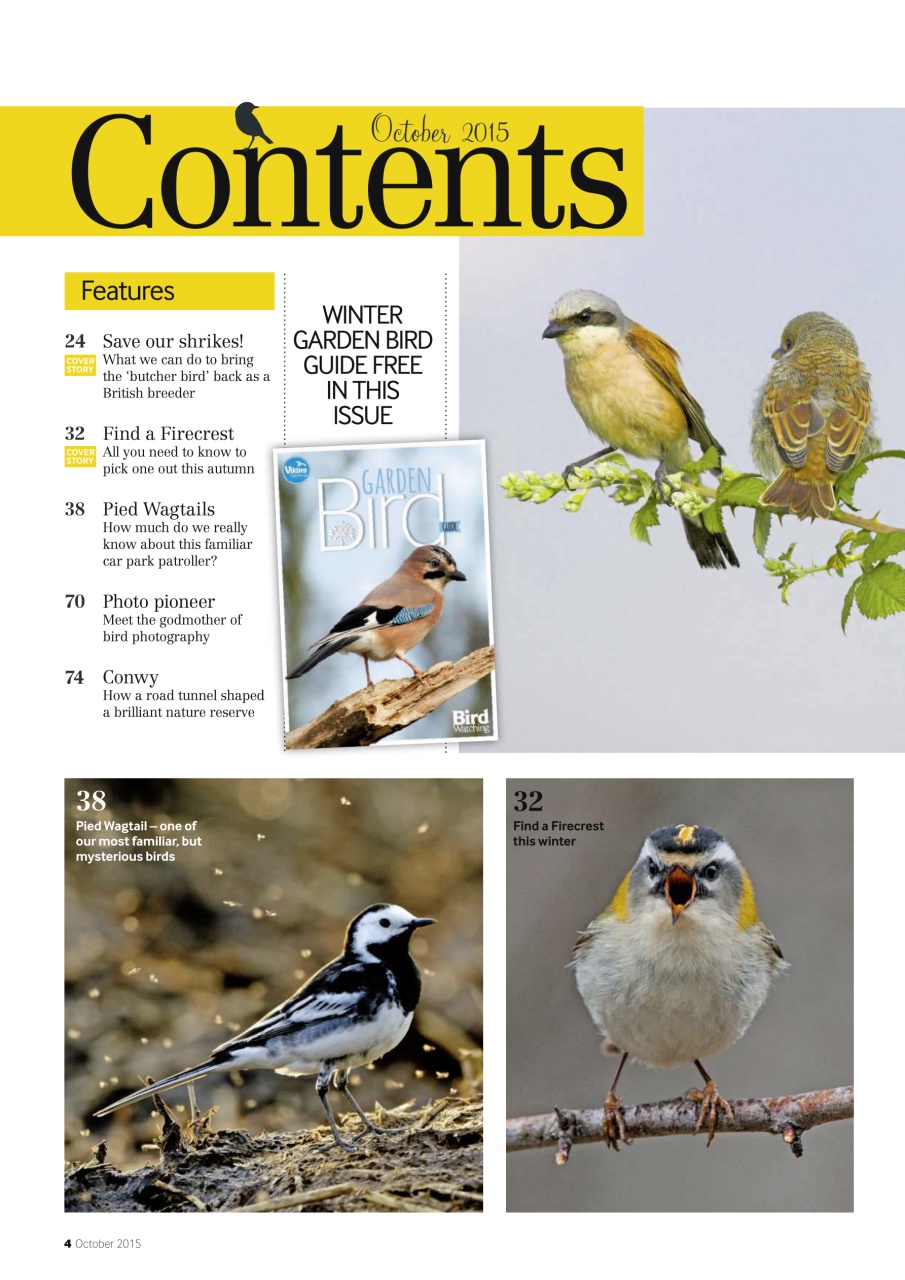 Bird Watching Preview Pages