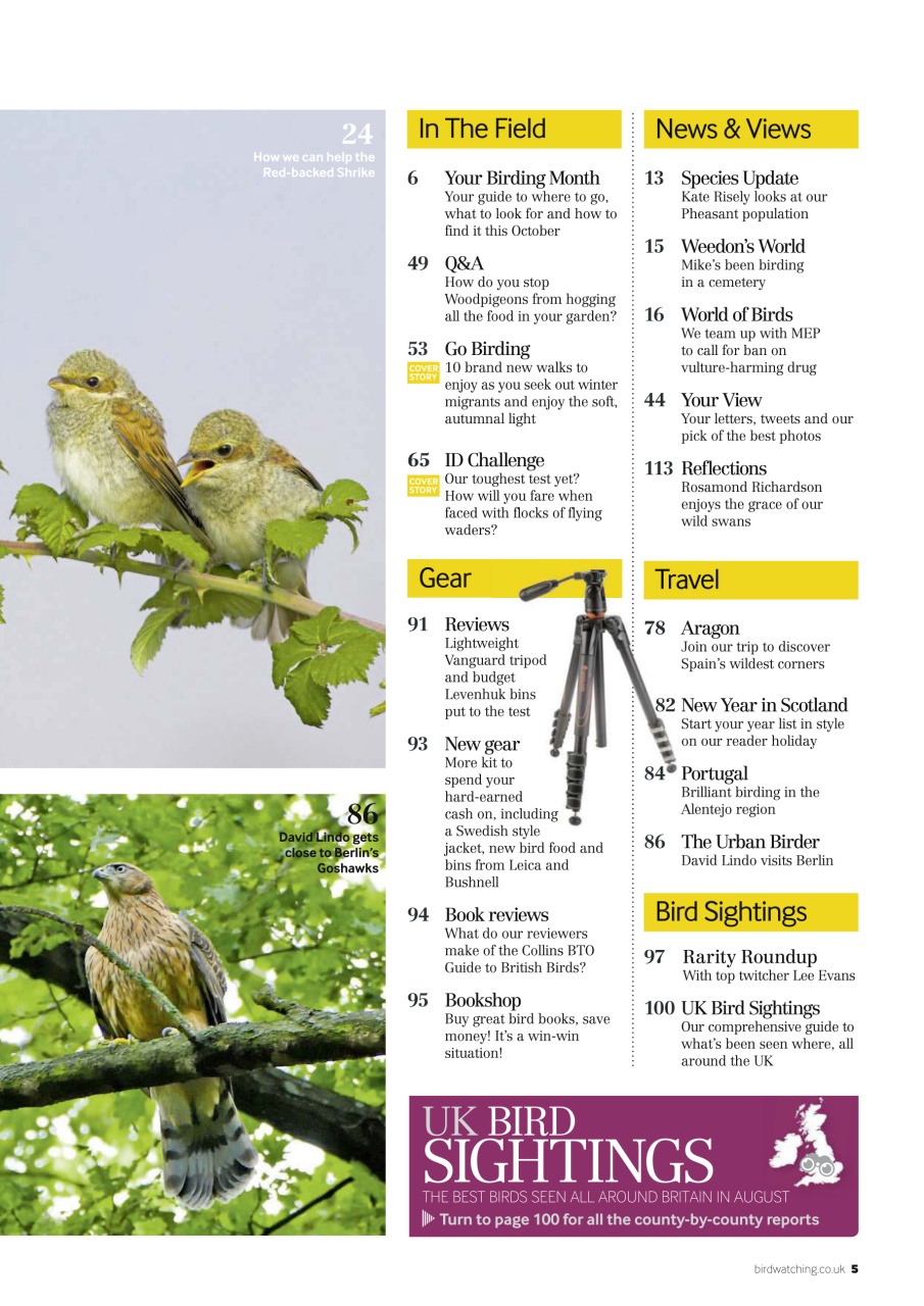 Bird Watching Preview Pages