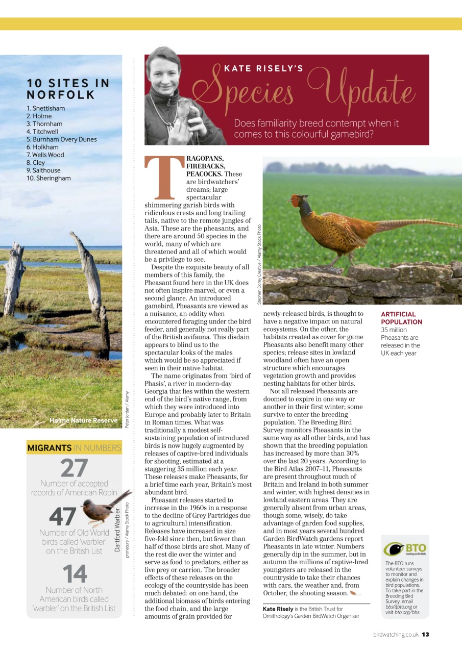 Bird Watching Preview Pages