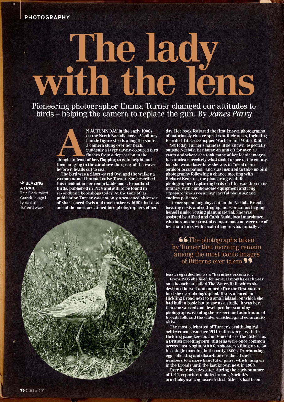 Bird Watching Preview Pages