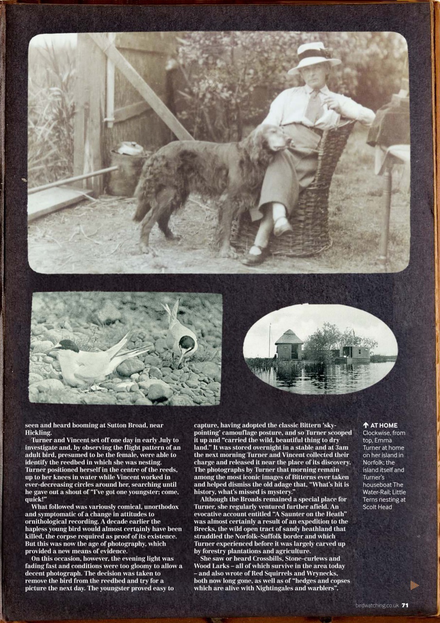 Bird Watching Preview Pages