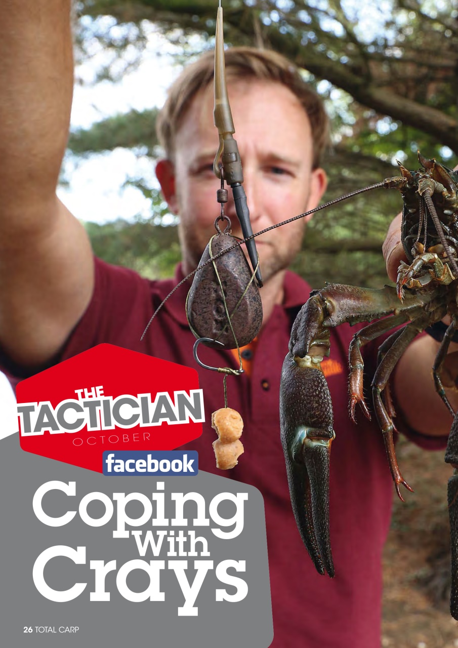 Total Carp Preview Pages