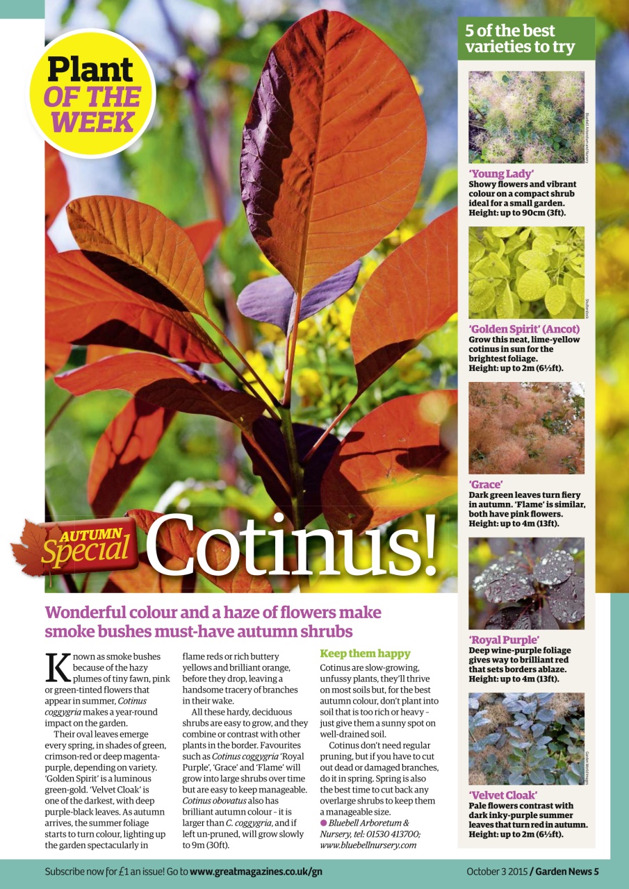 Garden News Preview Pages