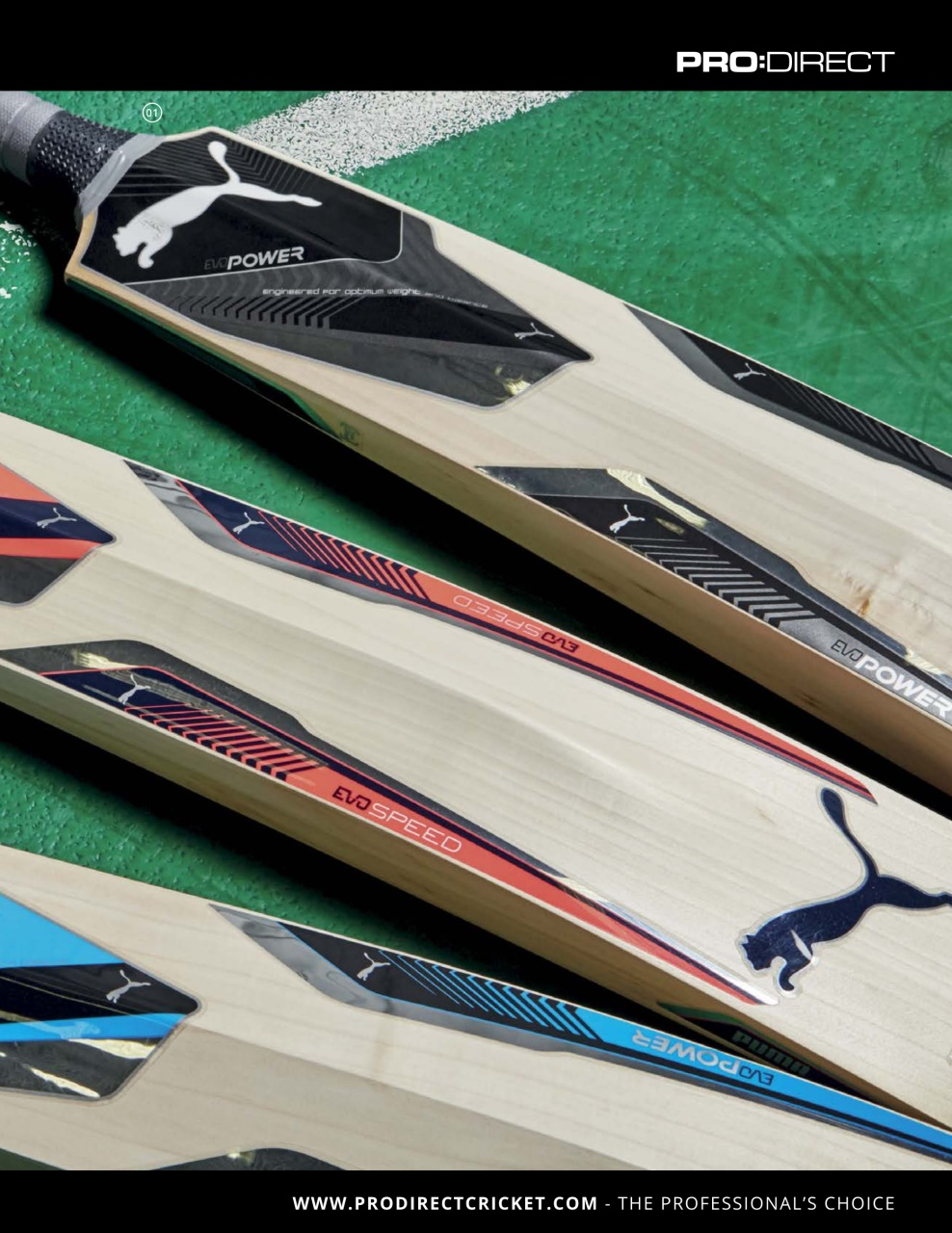 The Cricketer Magazine Preview Pages