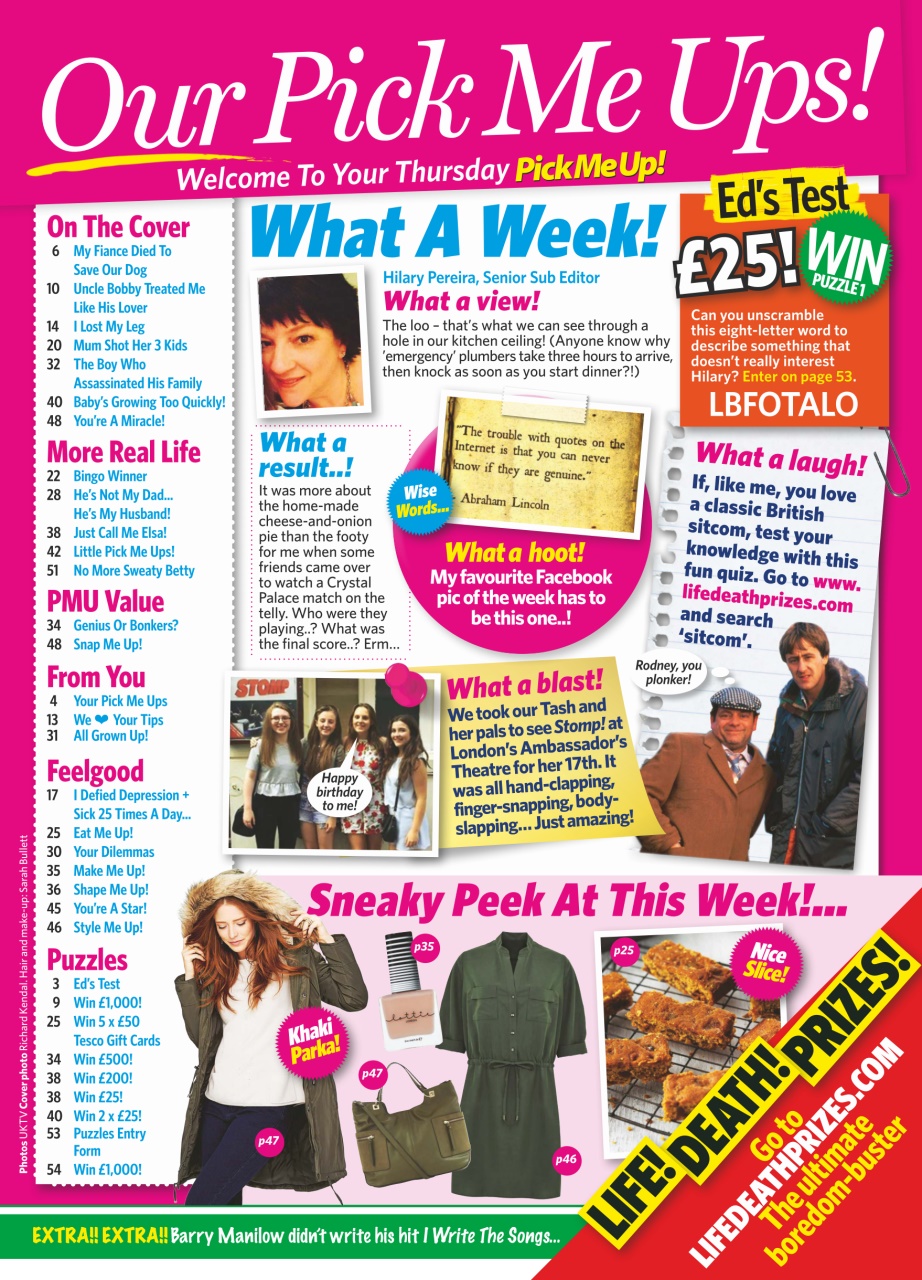 Pick Me Up Preview Pages