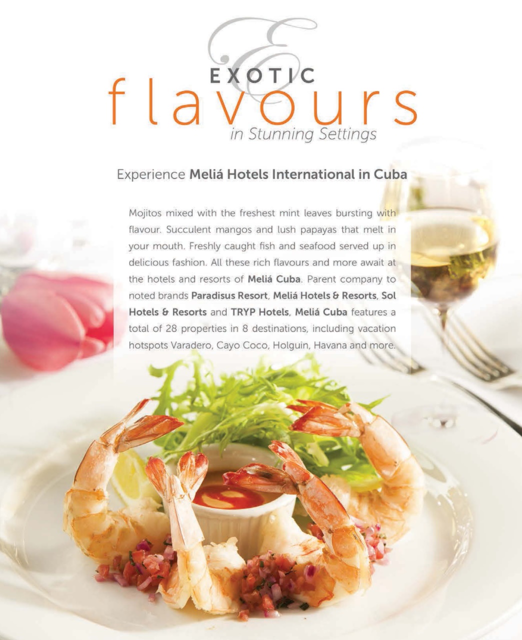 LCBO Food & Drink Preview Pages