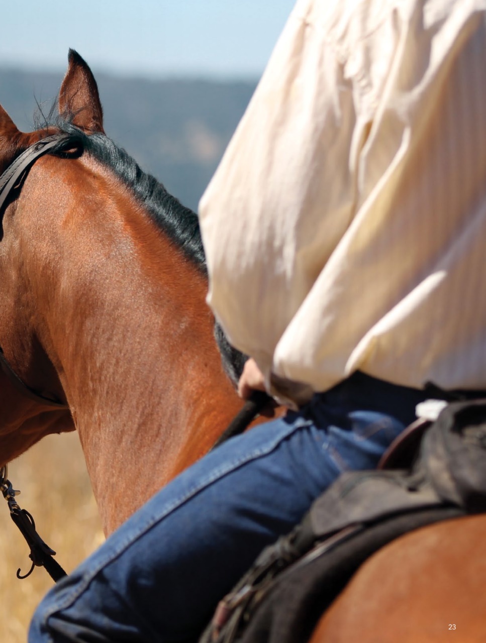 Canadian Cowboy Country Preview Pages