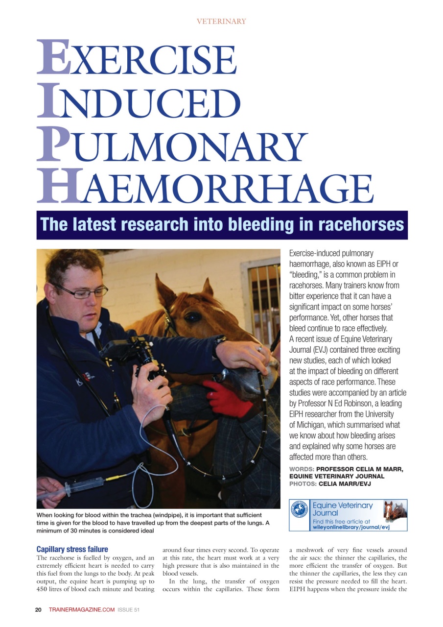 European Trainer Magazine - horse racing Preview Pages