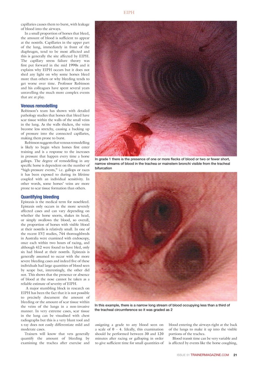 European Trainer Magazine - horse racing Preview Pages