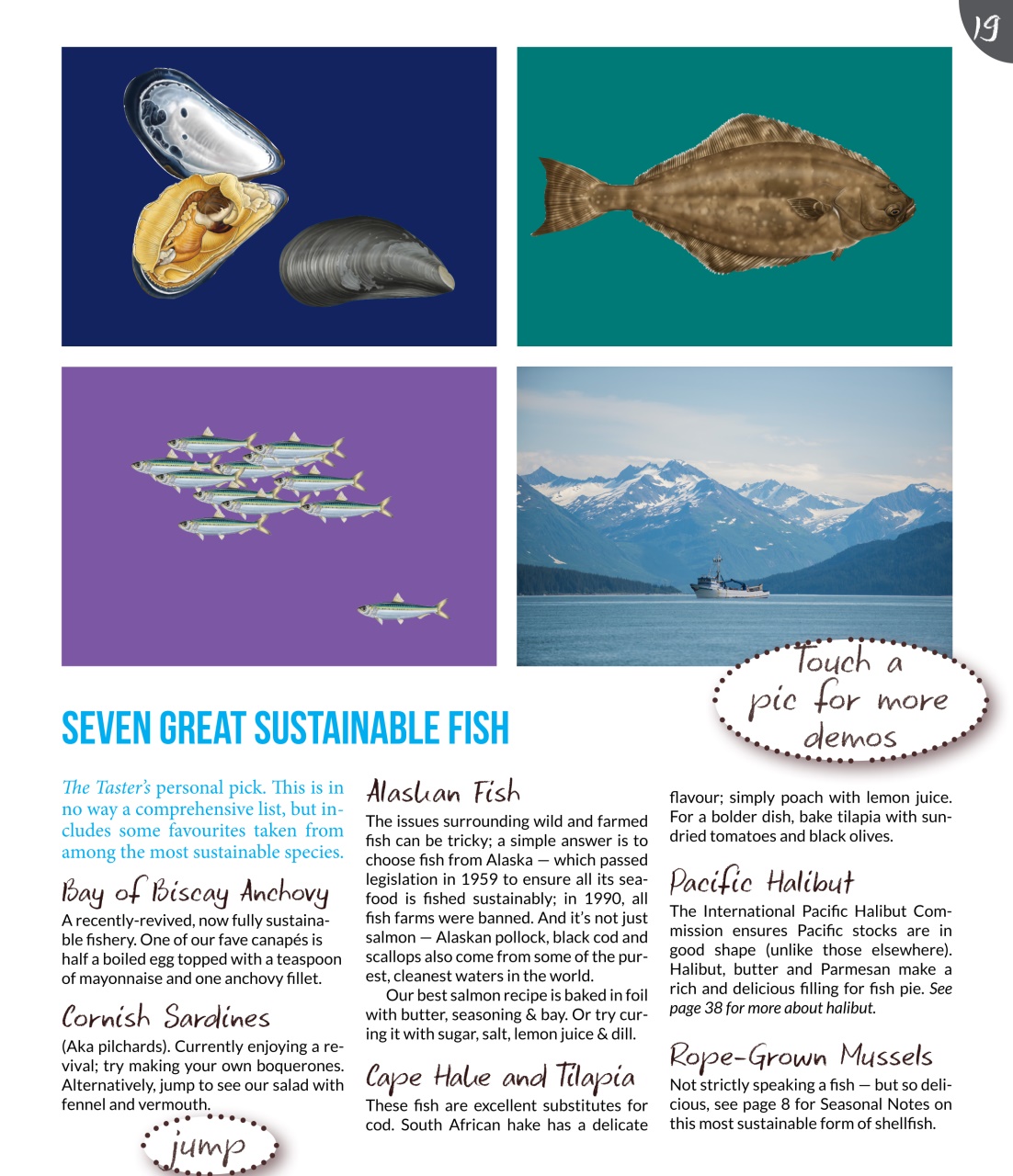 The Taster Magazine Preview Pages