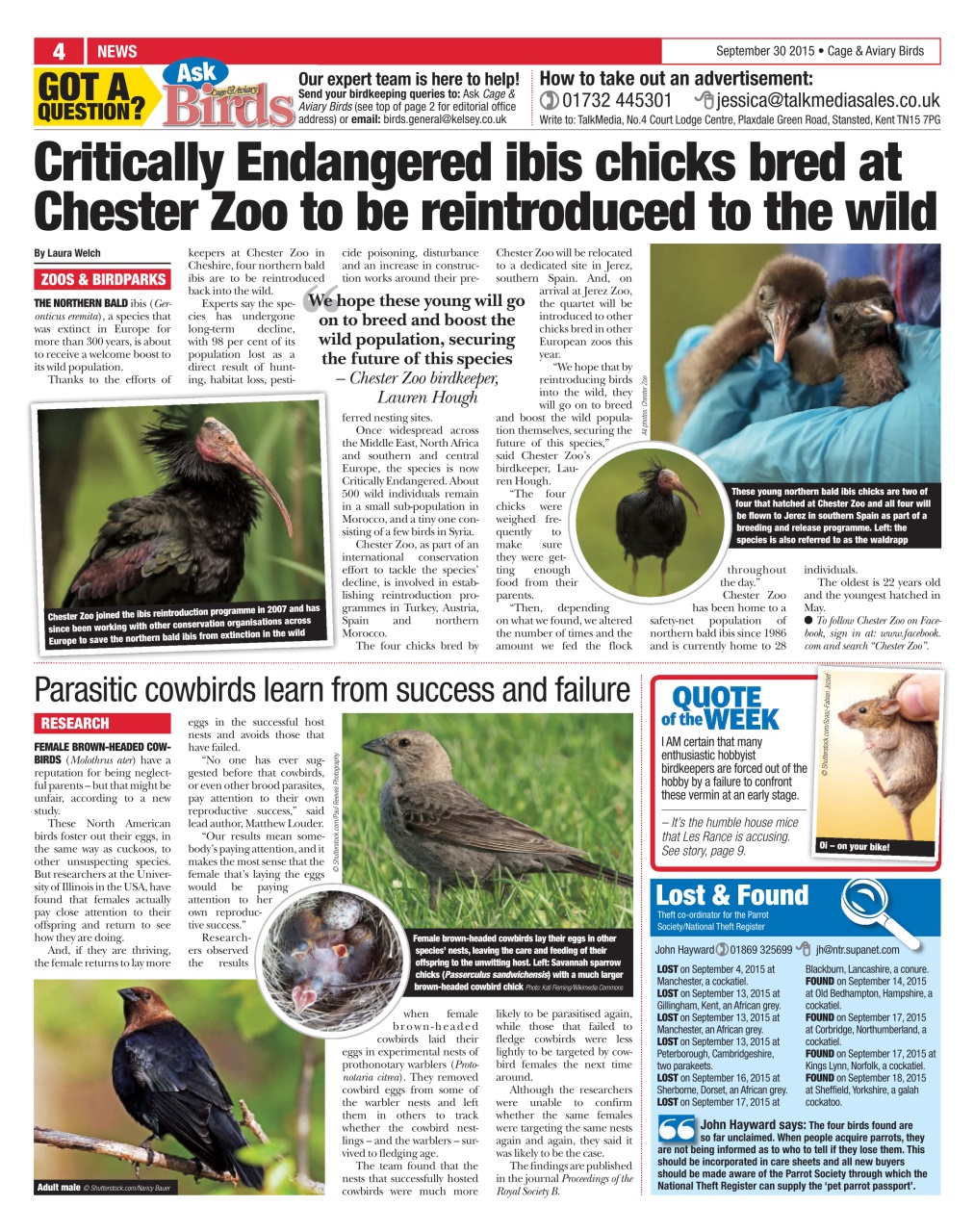 Cage & Aviary Birds Preview Pages