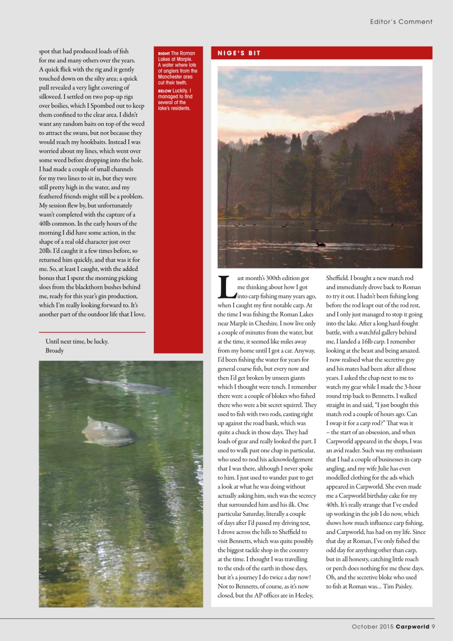 Carpworld Preview Pages