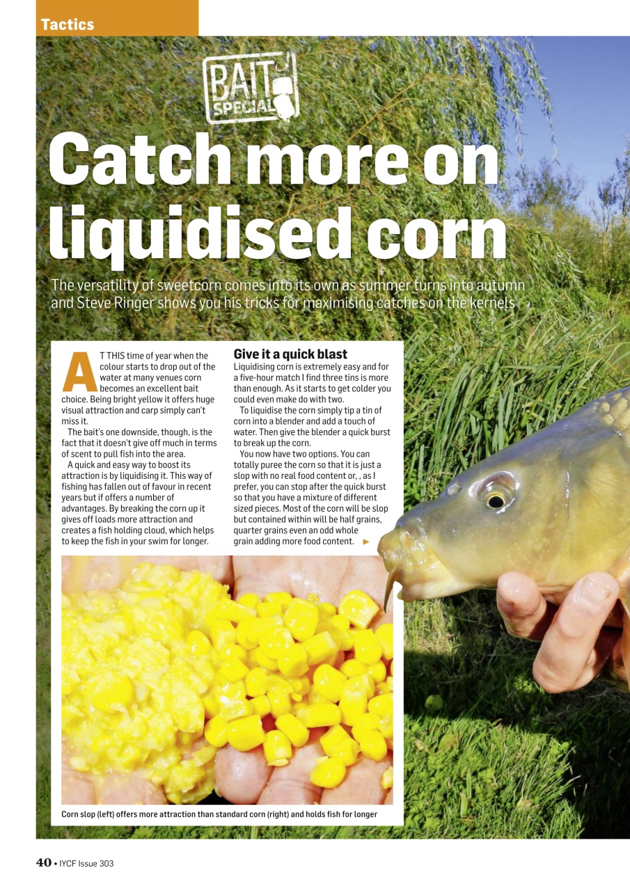 Improve Your Coarse Fishing Preview Pages