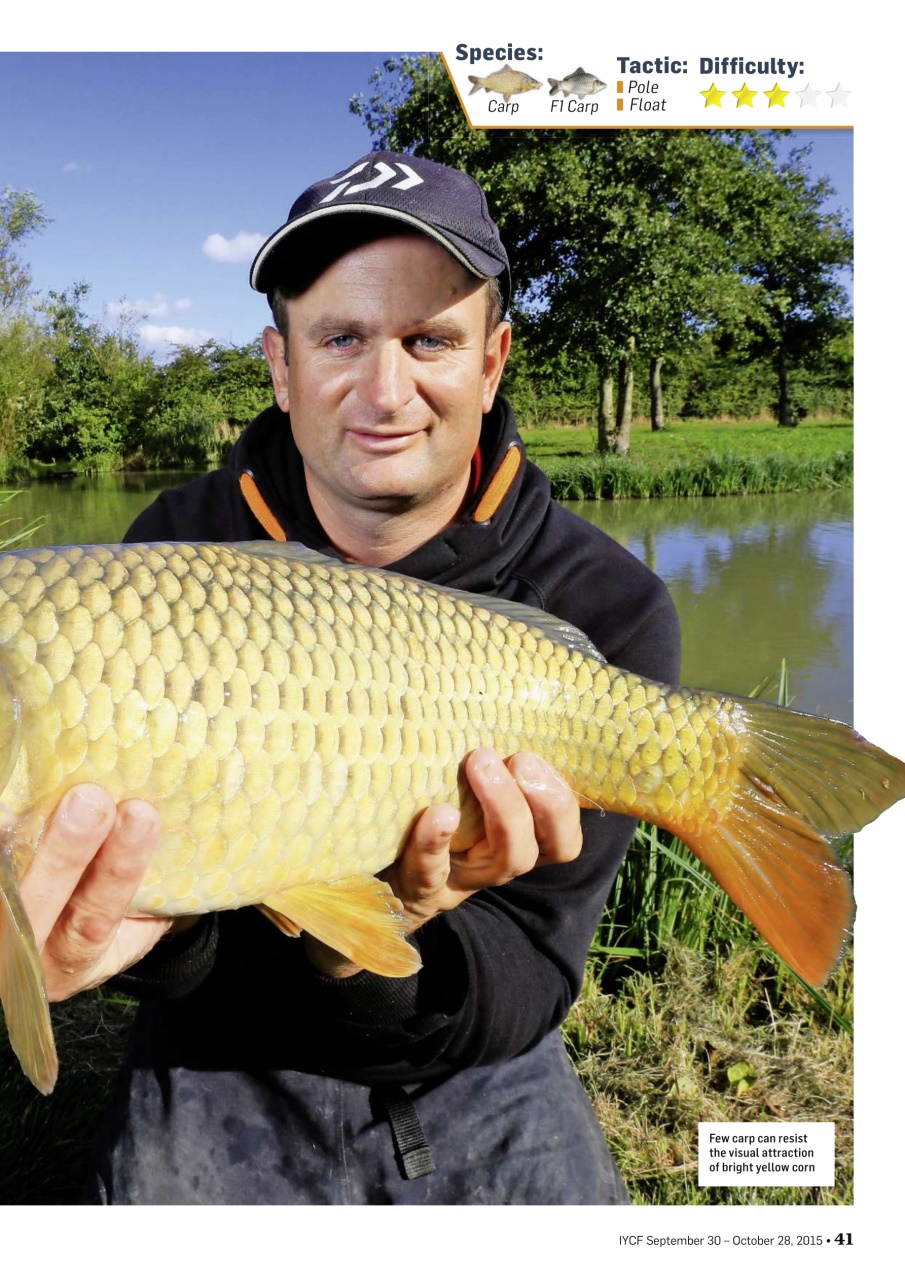 Improve Your Coarse Fishing Preview Pages