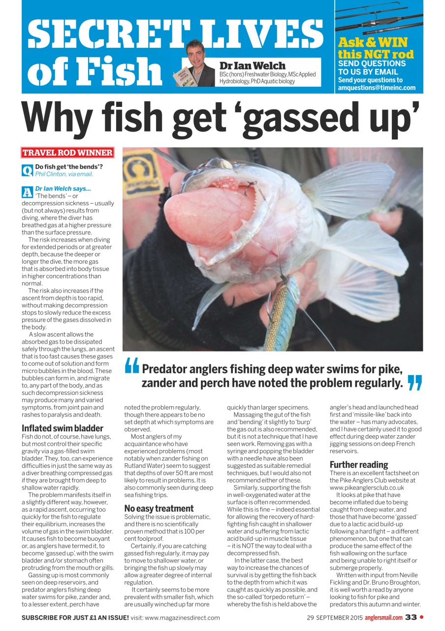 Anglers Mail Preview Pages
