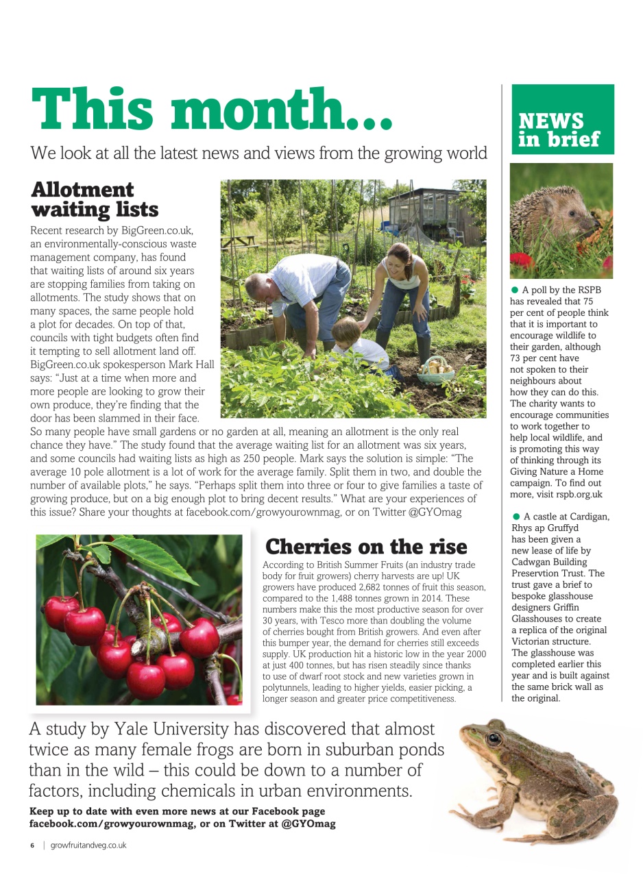 Grow Your Own Preview Pages