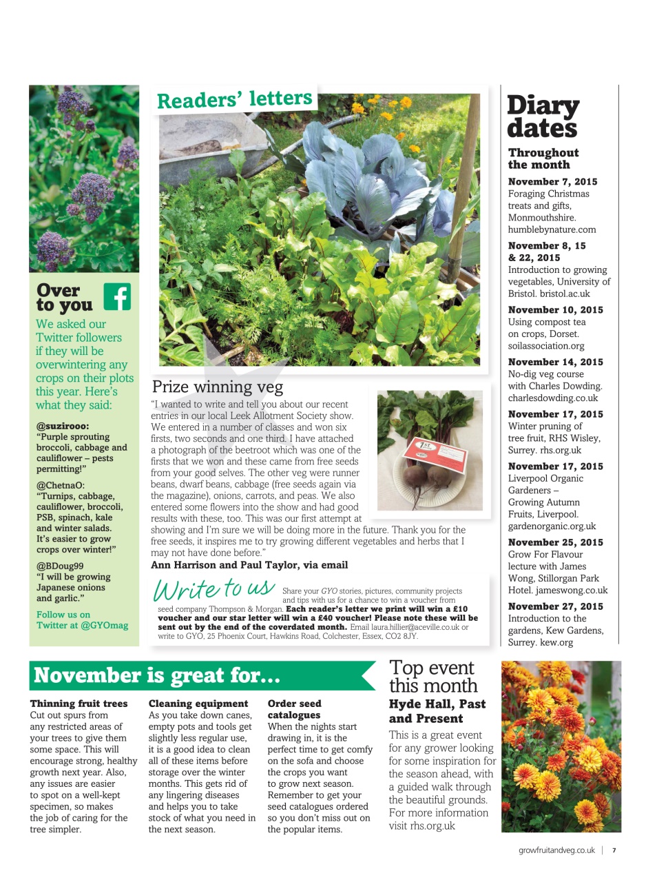 Grow Your Own Preview Pages