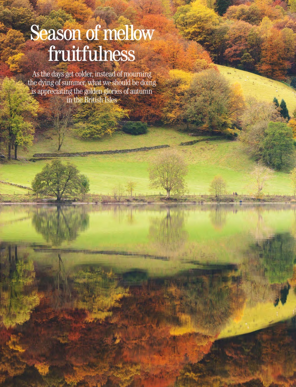 Country Life Preview Pages