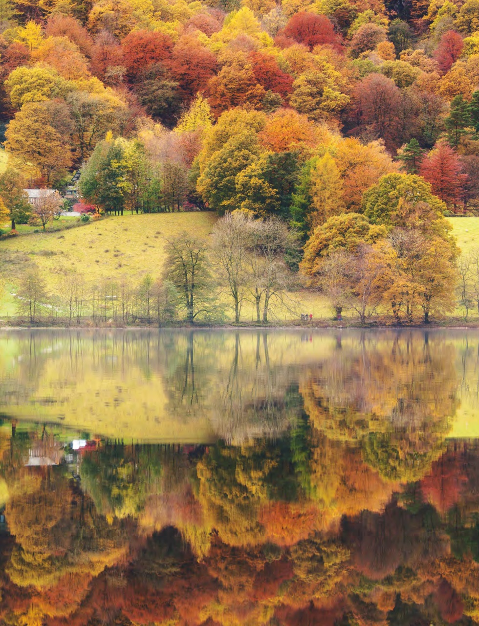 Country Life Preview Pages