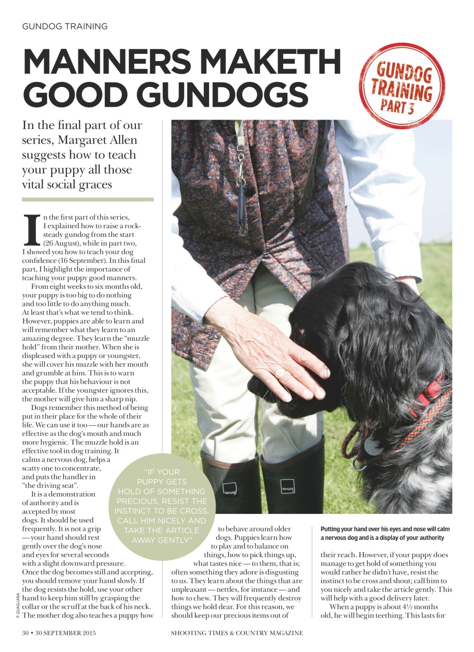 Shooting Times & Country Preview Pages