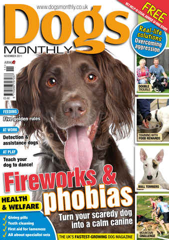 Dogs Monthly issue November 2011