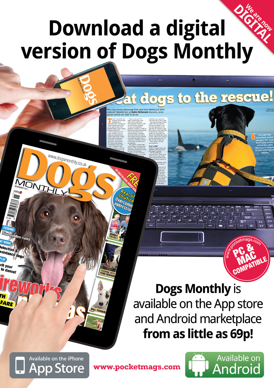Dogs Monthly Preview Pages