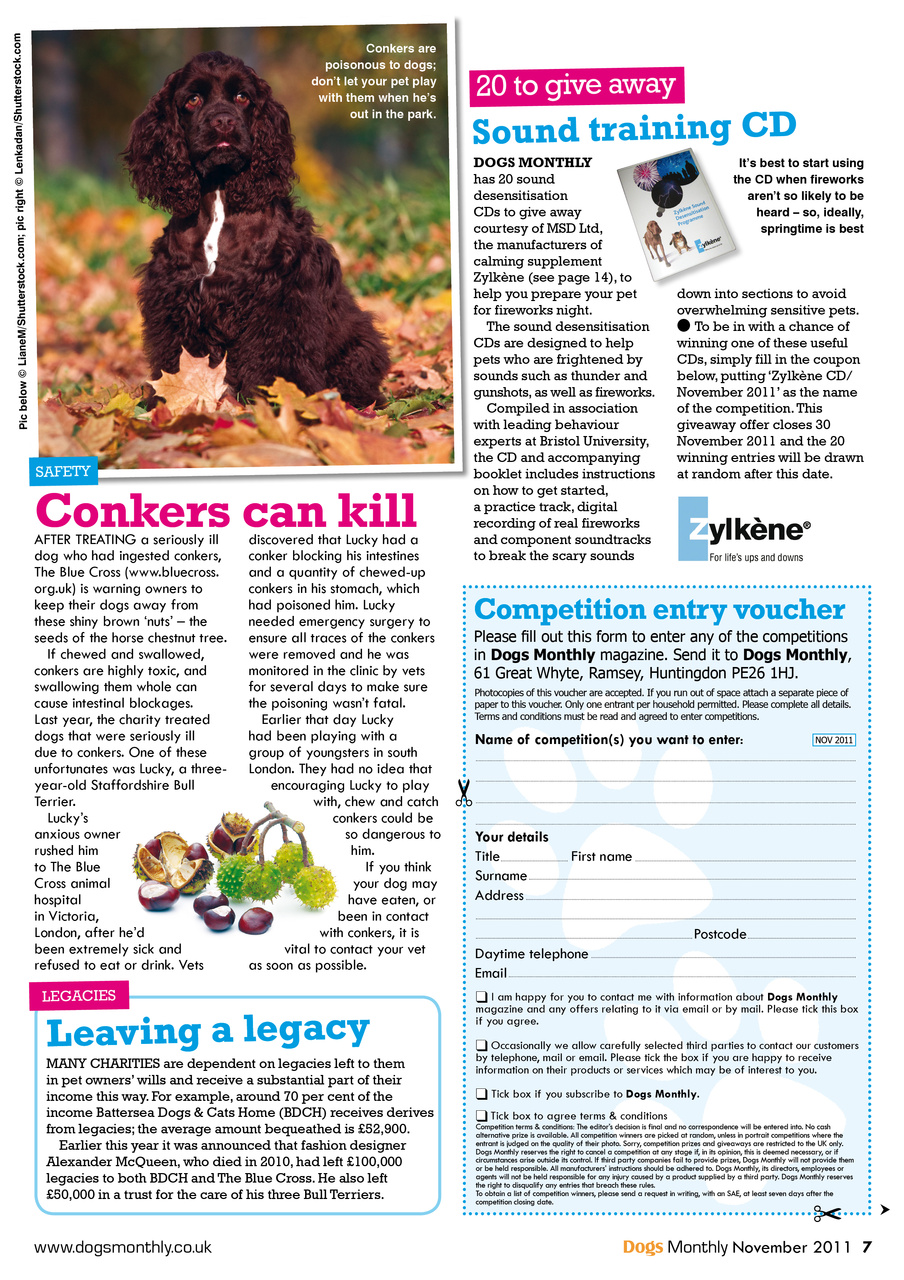 Dogs Monthly Preview Pages