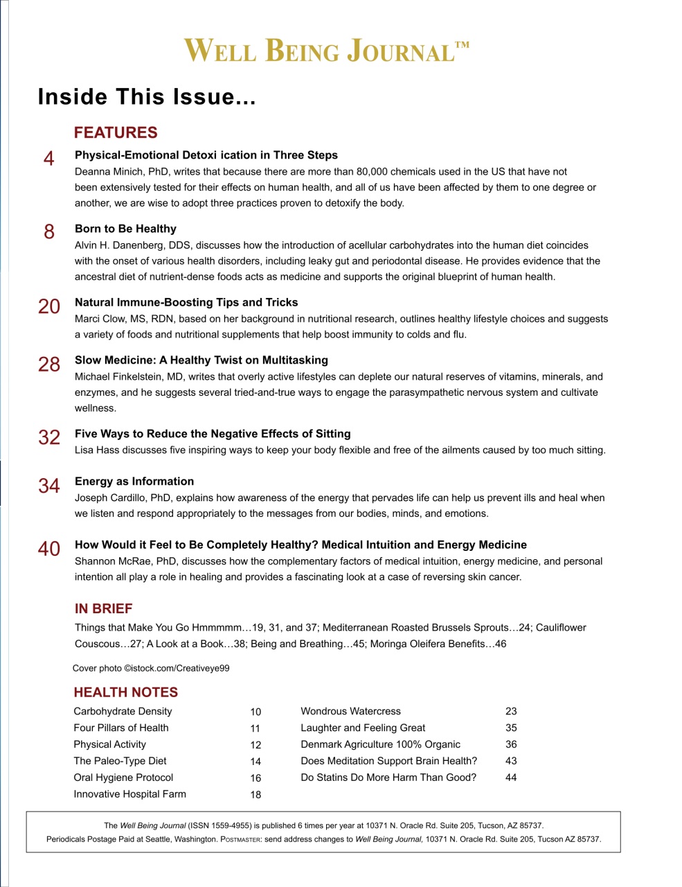 Well Being Journal Preview Pages