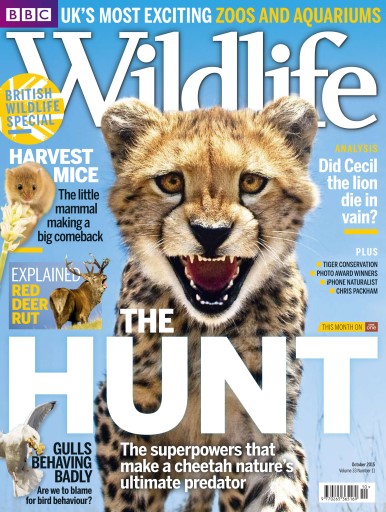 BBC Wildlife Magazine issue 