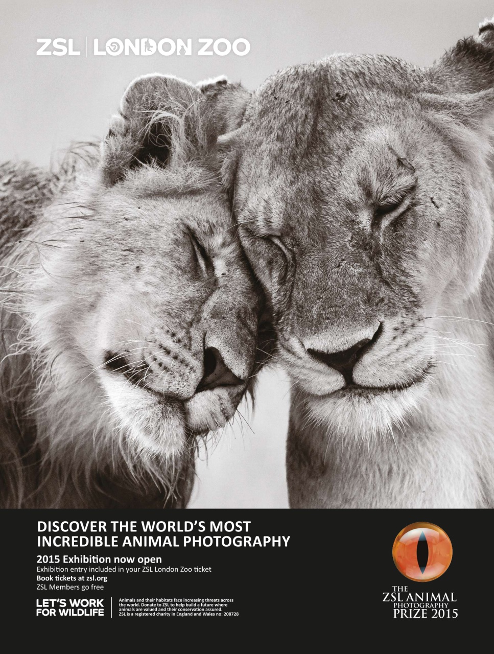 BBC Wildlife Magazine Preview Pages