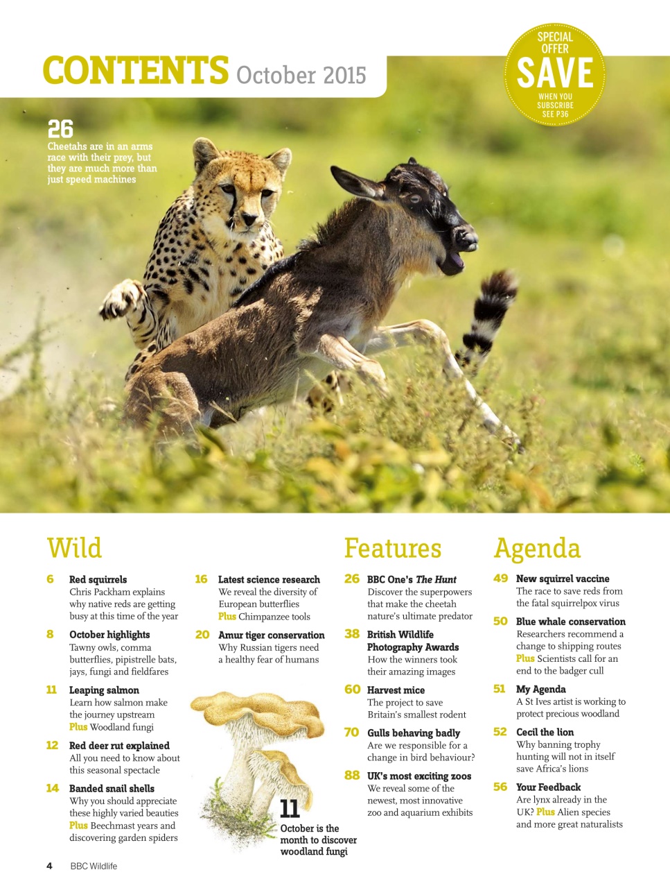 BBC Wildlife Magazine Preview Pages