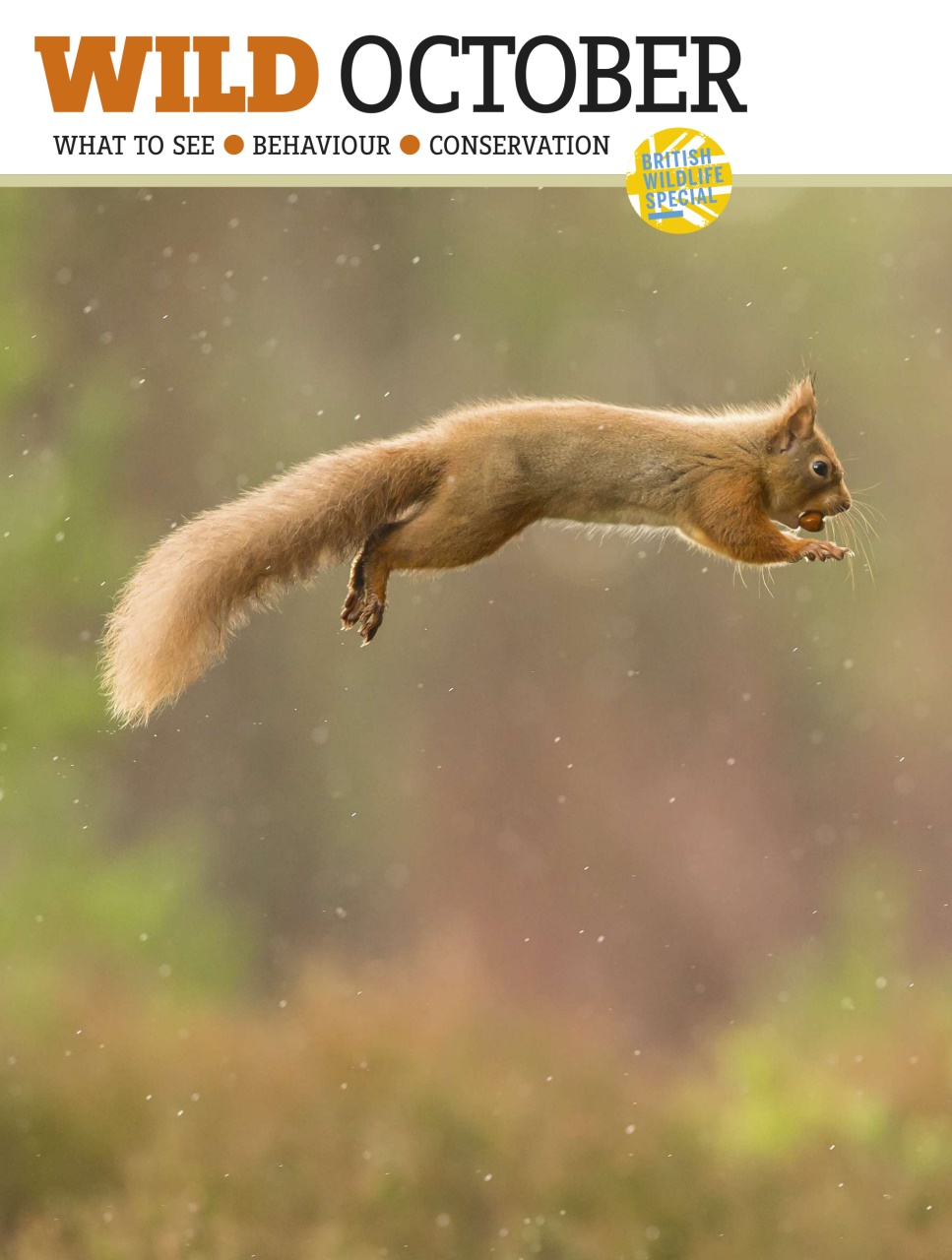 BBC Wildlife Magazine Preview Pages