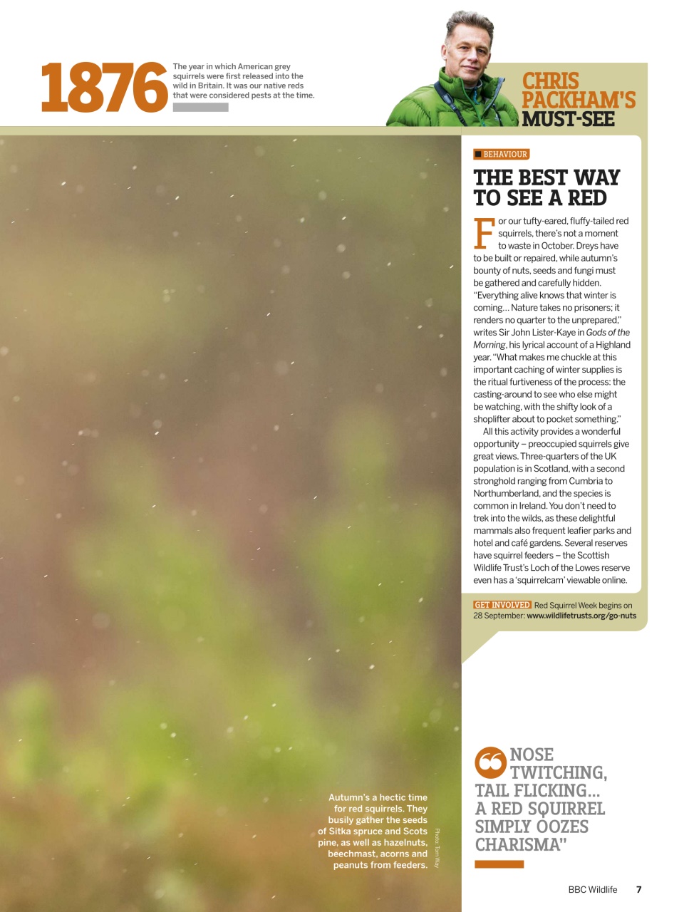 BBC Wildlife Magazine Preview Pages