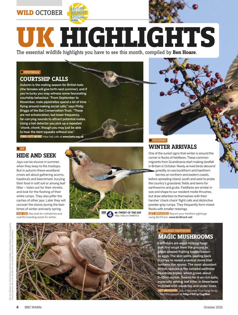 BBC Wildlife Magazine Preview Pages