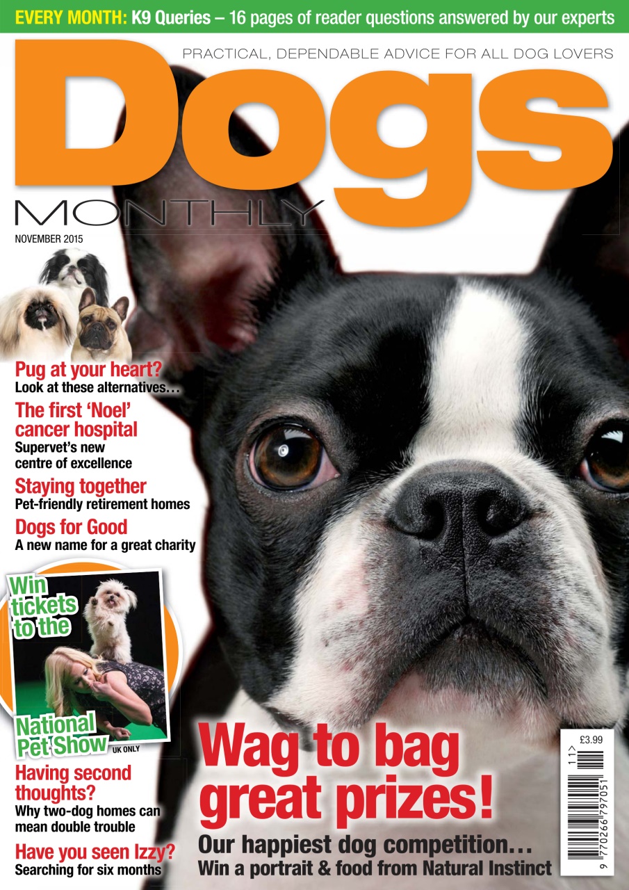 Dogs Monthly Preview Pages