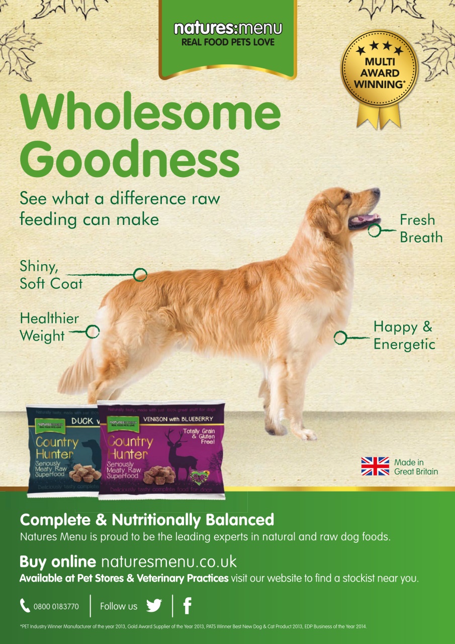 Dogs Monthly Preview Pages