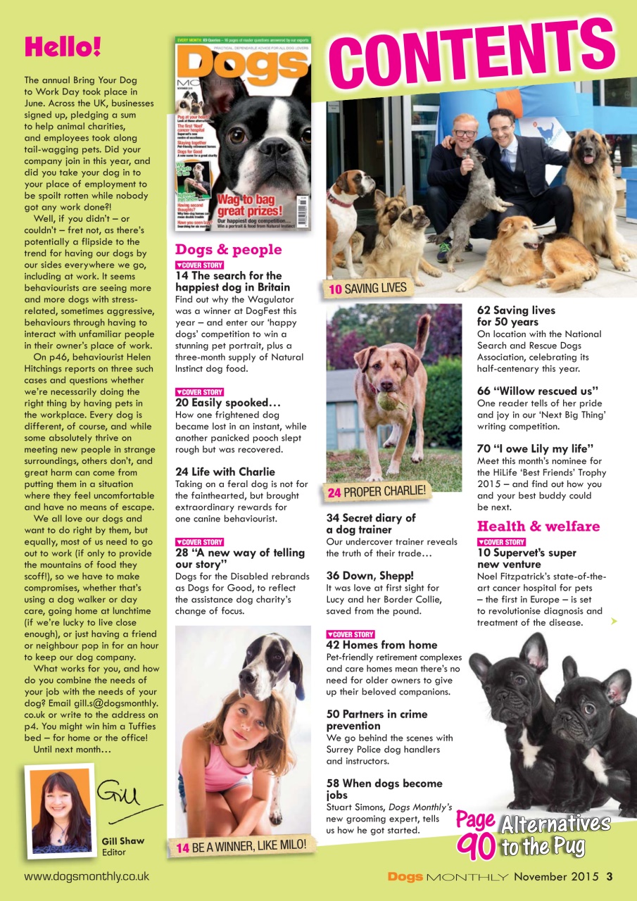 Dogs Monthly Preview Pages