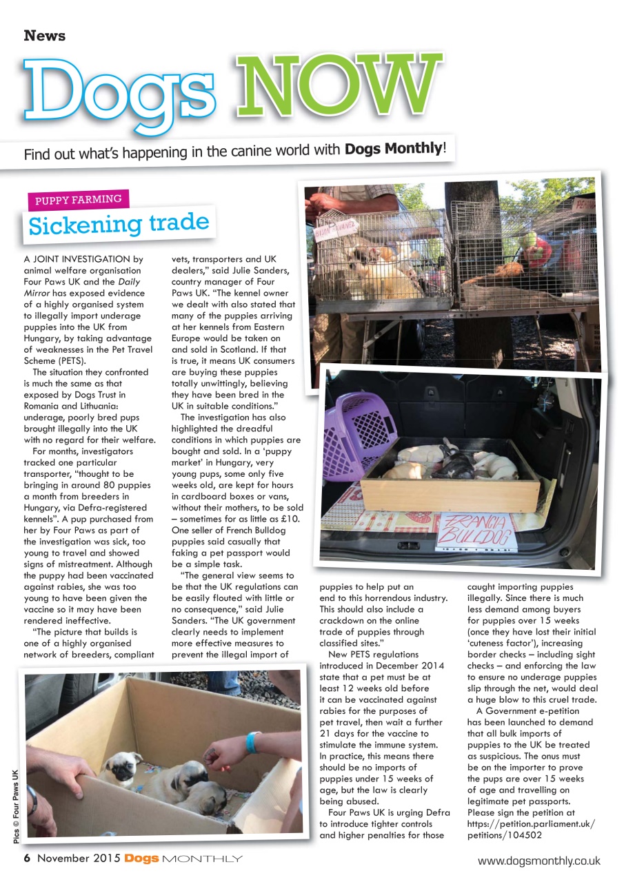 Dogs Monthly Preview Pages