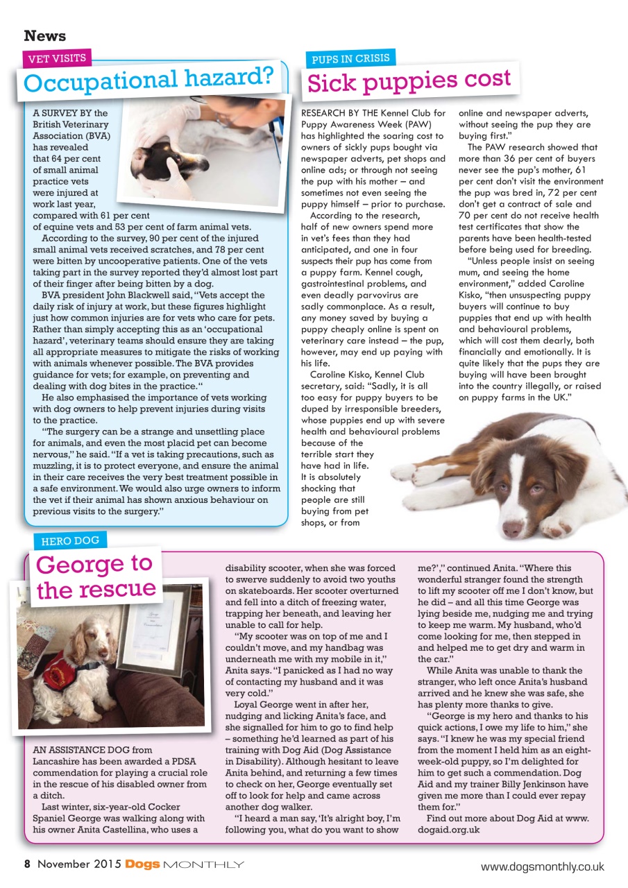 Dogs Monthly Preview Pages