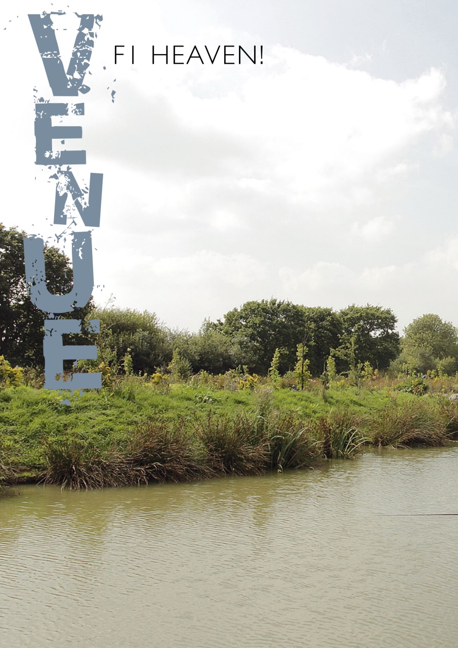Pole Fishing Plus Preview Pages
