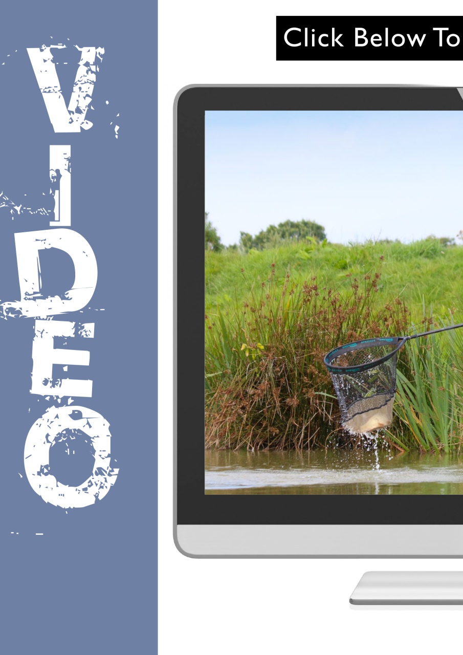 Pole Fishing Plus Preview Pages